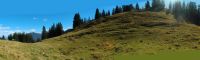 2015-10-03_Graskoepfel_(460) - 2015-10-03_Graskoepfel_(463).JPG